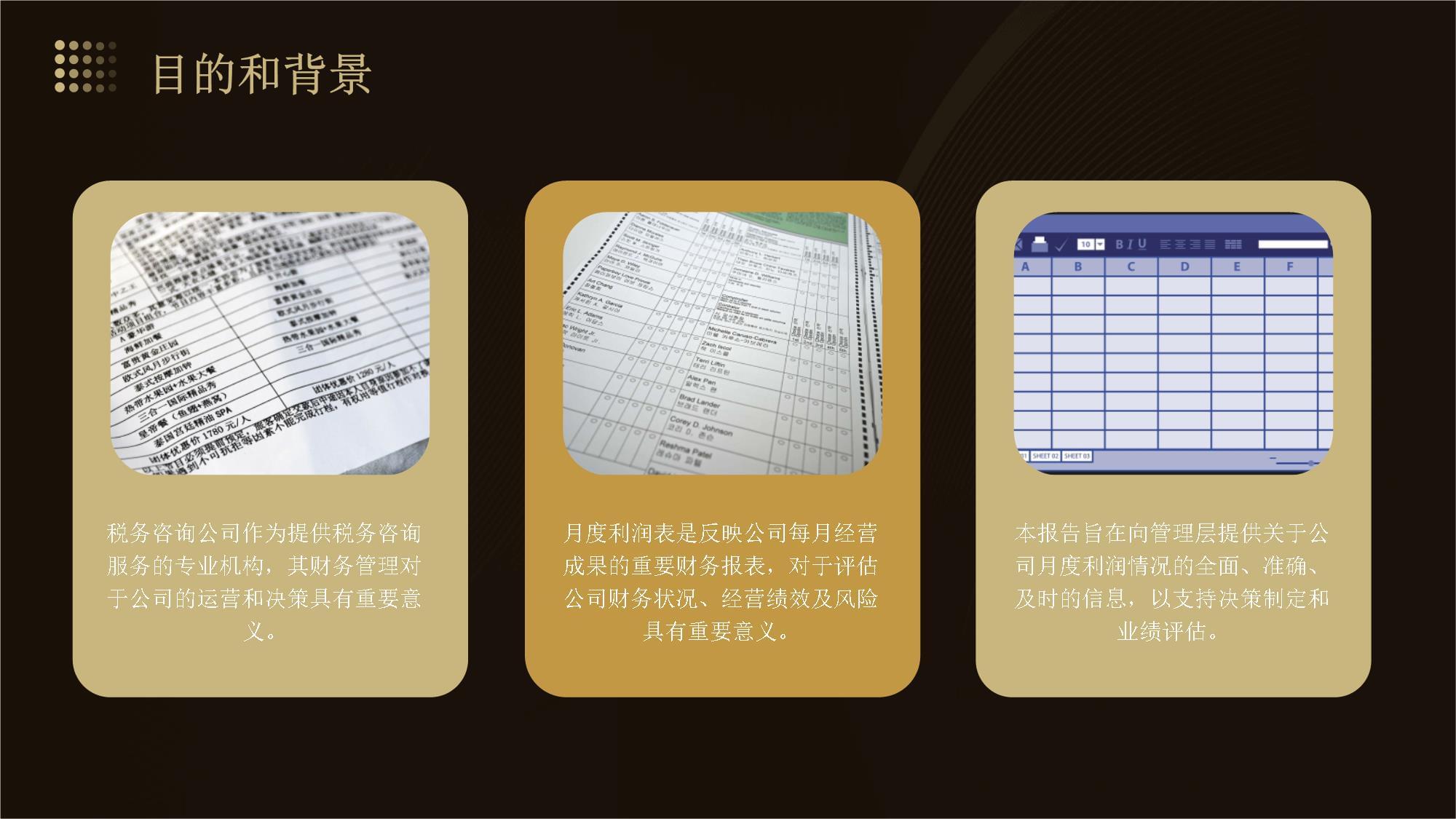 稅務(wù)咨詢公司財務(wù)管理人員月度利潤表分析報告